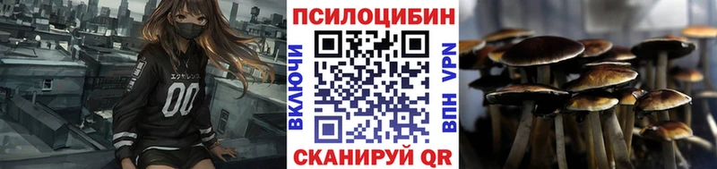 наркошоп  Зуевка  Псилоцибиновые грибы прущие грибы 
